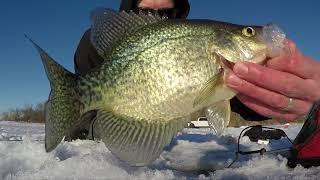 New Intro Sequence for my YouTube Channel - Jagged Tooth Tackle