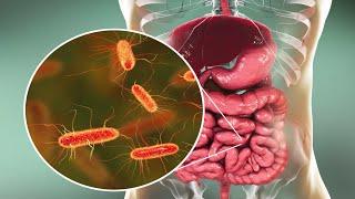 Microorganisms and Humans: Commensal and Pathogenic Flora