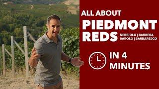 Piedmont Grapes - All About Nebbiolo, Barbera, Barolo, & Barbaresco from Piedmont, Italy