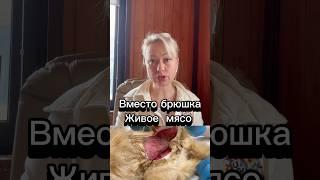 Реквизиты в комментариях и приходите в ТГ. Там все новости. Ссылка в профиле