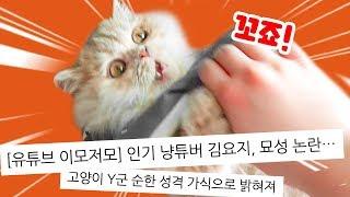 성질 더러운 고양이 요지의 실체!!  |  김메주와고양이들
