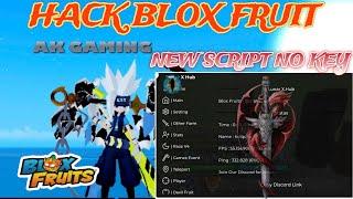 Hướng dẫn Cách Hack Blox Fruits update 21 trên điện thoại cho người mới -  Fluxus VNG mới nhất