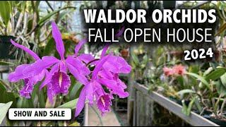 Waldor Orchids Fall Open House 2024 | AMAZING Guest Vendors from across the US + Gorgeous Blooms!