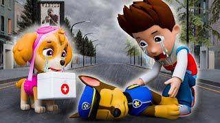 CHASE Goes To Hospital?! What's Wrong?! Paw Patrol Ultimate Rescue | Full Episodes