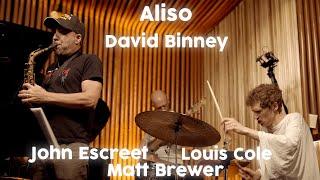 David Binney - Aliso (feat. John Escreet, Louis Cole, Matt Brewer)