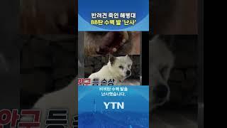네티즌 분노 유발한 해병대 #shorts / YTN
