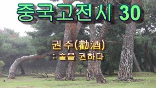 중국 고전시 시리즈 제30편 ( 勸酒(권주)/ 鹤(학)): 백거이)