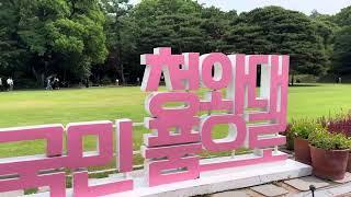 청와대 녹지원 반송