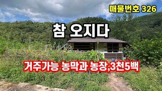 경북땅 오지땅, 3천5백 속편하게 지낼 수 있는 나만의 아지트 산속 점빵~