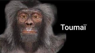 Sahelanthropus Tchadensis - A Key Species in Human Evolution?!