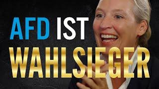 Die AfD hat trotz "Platz 2" WICHTIGE Siege errungen