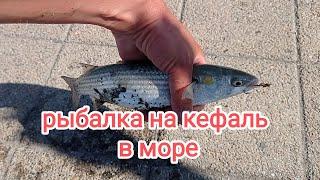 морская рыбалка в Новороссийске