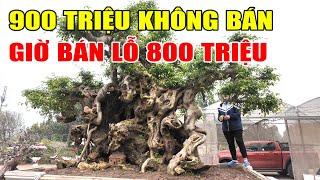 Trả 900 Triệu Rồi Không Bán Bây Giờ Mà 800 Triệu Là Cho Bay (0399903128)