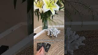 Вы думаете что вам просто не везёт а они молятся враги ваши tarorasklad #таро #rek