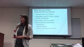 The Nervous System- Dr. Jessica Guerrero