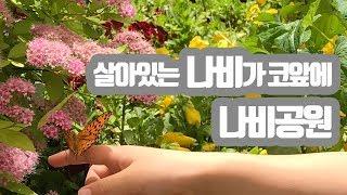 주말에 어디가 1편 -부평숲 인천 나비공원-