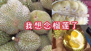 I Love Durian / 为了吃免费榴莲而在榴莲园住了五个月 / I Am A Durian Lover#榴莲季节到了吗? / 江沙瑶伦 / #杨贵妃 / #楊貴妃