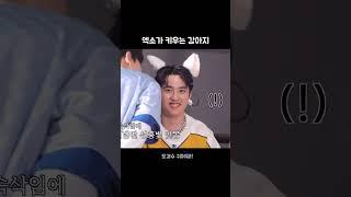 엑소가 키우는 강아지
