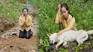 The stroke dog was gone forever. Sai lost his loyal friend l Lý Thị Sai