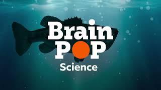 Meet BrainPOP Science