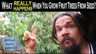 What REALLY HAPPENS When You Grow Fruit Trees From Seed?