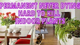 Permanent Never dying Hardy Indoor plants | Easiest house plants for New & Lazy Gardeners