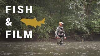 Fish and Film: Home Waters -- Terrestrial Dry Flies and Terrestrial Nymphs - Wild Trout in the Woods