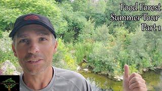 Midsummer Food Forest Tour (Part 1)