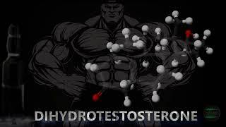 DIHYDROTESTOSTERONE (DHT v2) - Binaural Steroid Frequency (Anabolism & Masculinity)