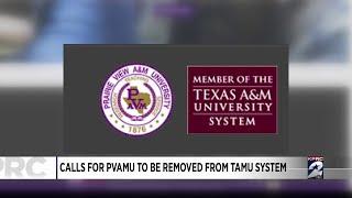 ‘We feel devalued’ : Prairie View A&M alumni president wants to leave Texas A&M University System