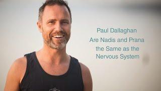 Paul Dallaghan – Are Nadis and Prana the Same as the Nervous System