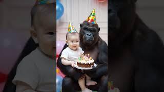 Gorillas and babies spend their birthdays together.#gorilla #baby#shorts#cute#funny#love#animals