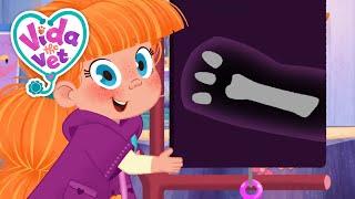 What is A Cramp?! | Cute Animal Cartoons for Kids | Stories for Girls