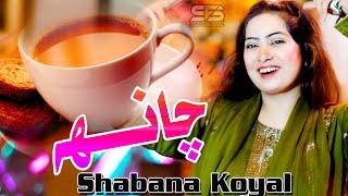 Chanh I Shabana Koyal I New Funny Song I Sindh Folk Studio