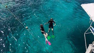 i snorkeled in the GREAT BARRIER REEF