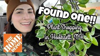 FINALLY FOUND ONE!!  Home Depot Plant Shopping in Hooksett, New Hampshire 