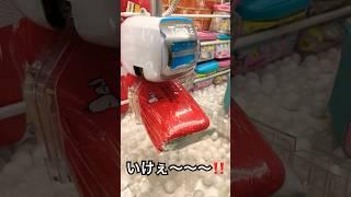#ufoキャッチャー #クレーンゲーム #shortvideo #youtubeshorts 