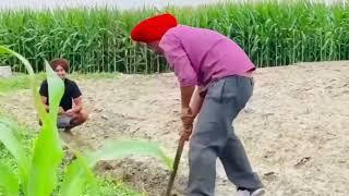 ਧੂਤਾ 5911 | Punjabi Comedy Video | Dhutta Velly | Labh Heera | ਪੰਜਾਬੀ ਵੀਡੀਓ | ਧੁੱਤਾ ਬਦਮਾਸ |