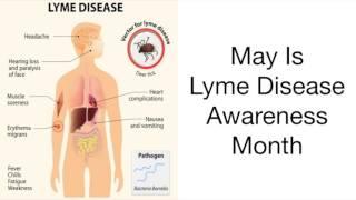 May is Lyme Disease Awareness Month