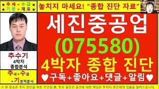 세진중공업(075580)종목진단및향후주가전망 추수기(추수)전문가
