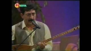 xelil xemgin - tu hatî nav şêrîna min