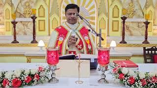 Holy Mass November 11  5.30 AM I Malayalam I Syro Malabar I Fr Bineesh Augustine