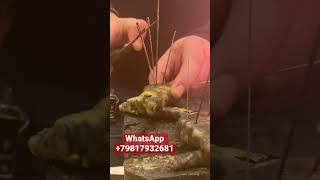 ЛЮБОВНАЯ МАГИЯ. ПРОВОДИТСЯ СИЛЬНЕЙШИЙ РИТУАЛ ВУДУ. #Shorts #Shots #shortsvideo #приворот #вуду