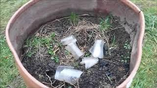Получила задание от мужа // грязная работа.