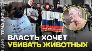 Протест против эвтаназии бездомных животных. Чего хочет власть?