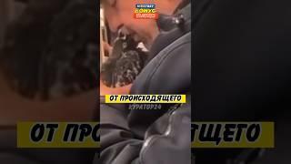 ЛЮБОВЬ ИЛИ ПРОСТО ПОЦЕЛУЙ С ГОЛУБЕМ?