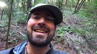 Brush Check Dam Catches Massive Erosion