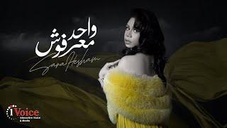 Sara Hesham - Wa7d Ma3rfosh | Lyrics Video 2025 | سارة هشام - واحد معرفوش