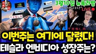 미국주식/전기차 인공지능 양자 바이오 반도체/테슬라 엔비디아 구글 애플 아마존 메타 마이크로소프트 팔란티어 아이온큐 리게티 SMCI LLY 노보등 $tsla #tesla