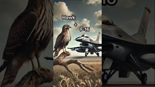 2 animal combined video|#new#trending#viralshorts#trendingshorts#attitude#animals#status#explore#xml